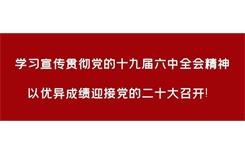 兴安盟各族各界青年热议党的十九届六中全会精神