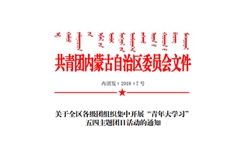 关于全区各级团组织集中开展“青年大学习” 五四主题团日活动的通知